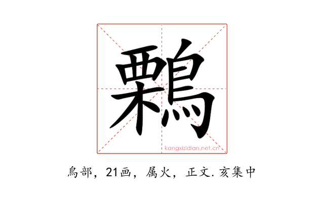 鷅