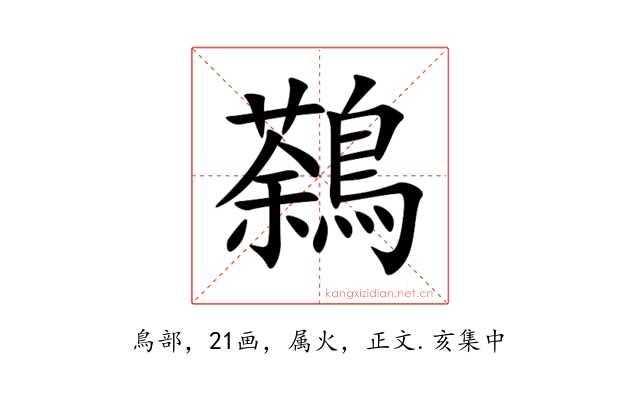 鷋