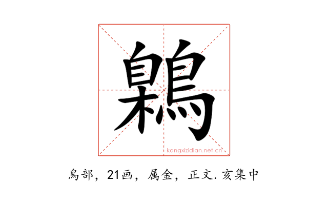 鷍