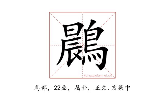鷐