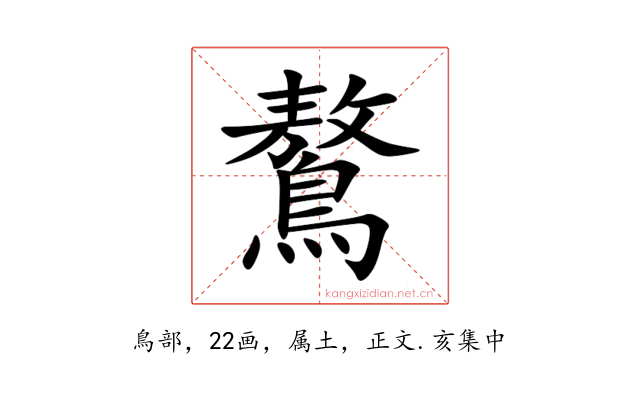 鷔