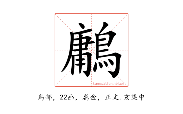 鷛