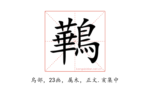 鷨