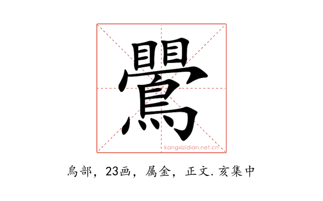 鷪