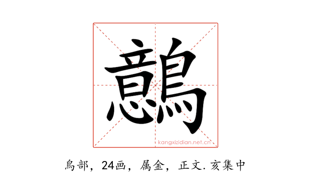 鷾