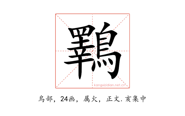鸅