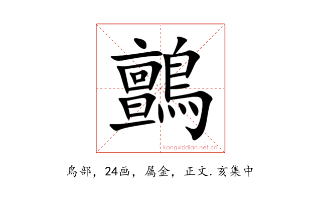 鸇