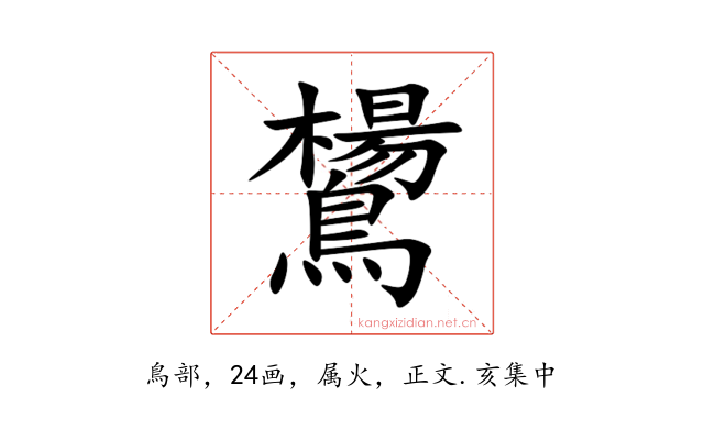 鸉