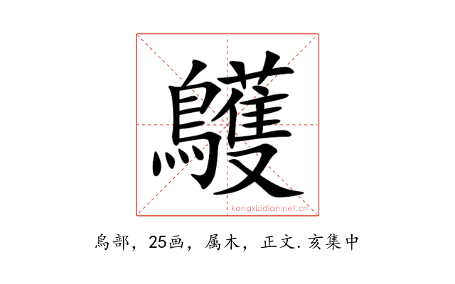鸌