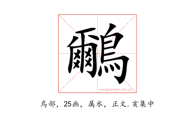 鸍