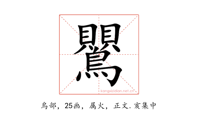 鸎