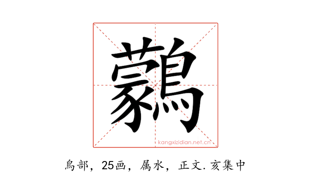 鸏