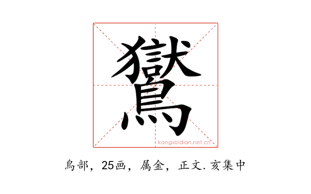 鸑
