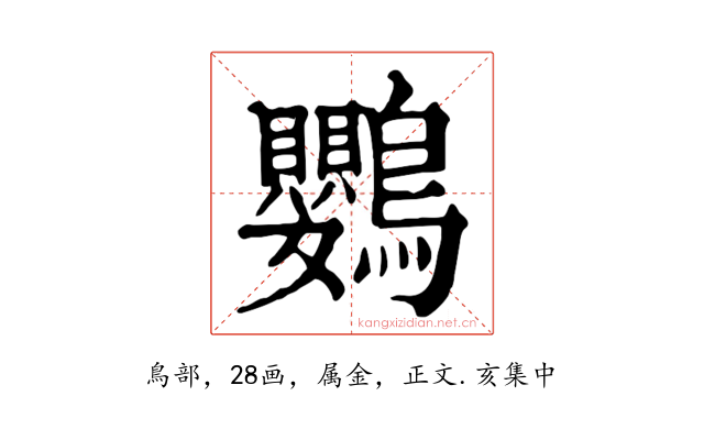鸚
