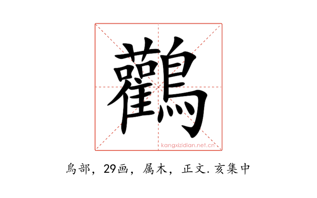 鸛