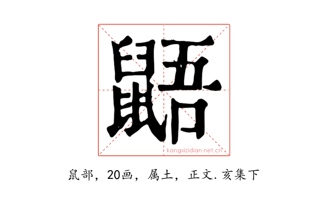鼯