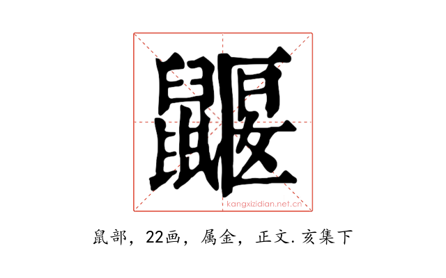 鼴