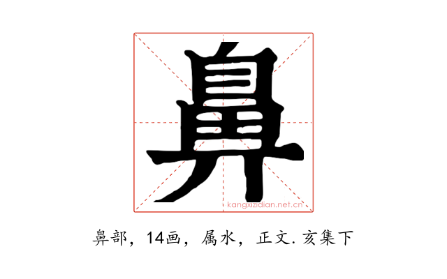 鼻