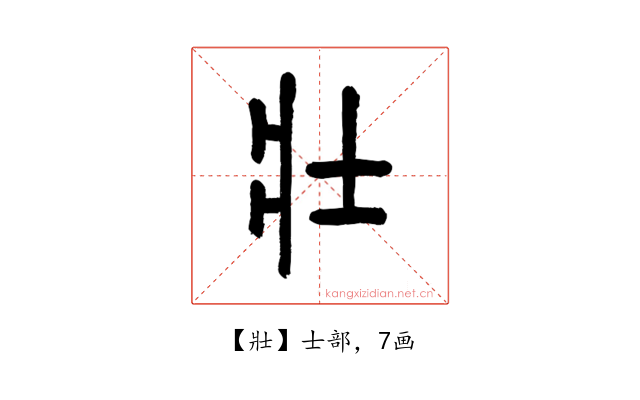 壯