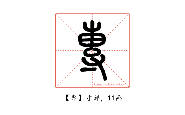 專