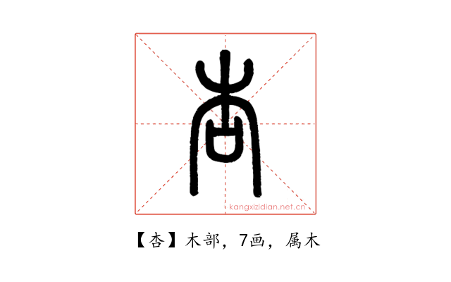杏