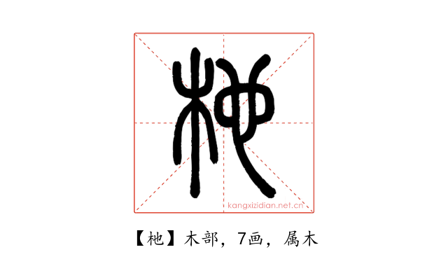 杝