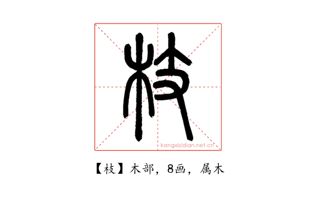 枝
