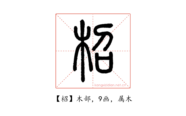 柖