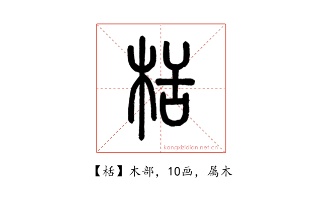 栝