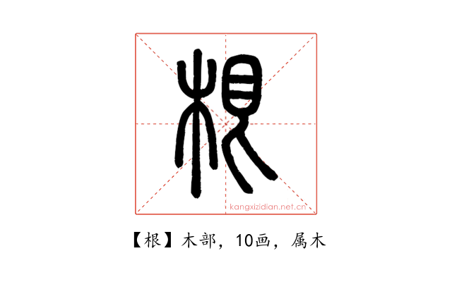 根