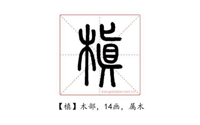 槙