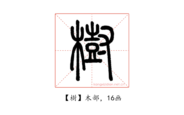 樹