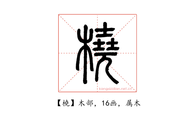 橈