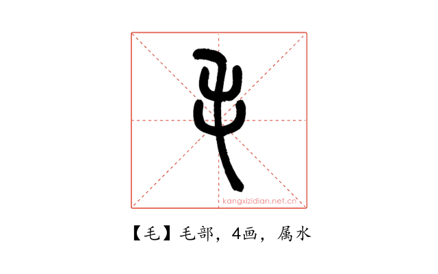 毛