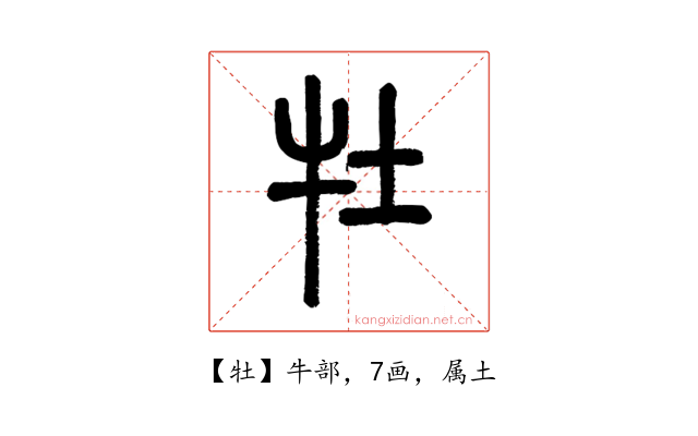牡