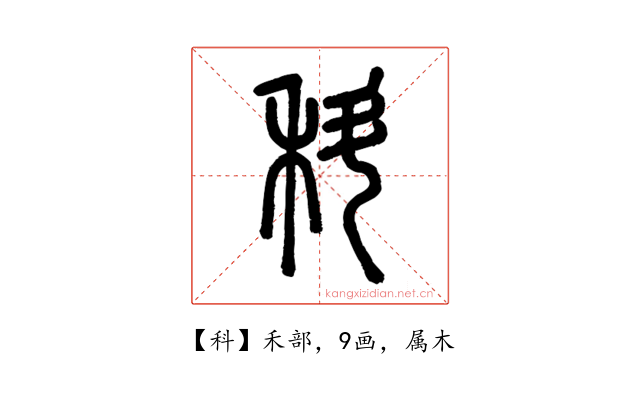 科