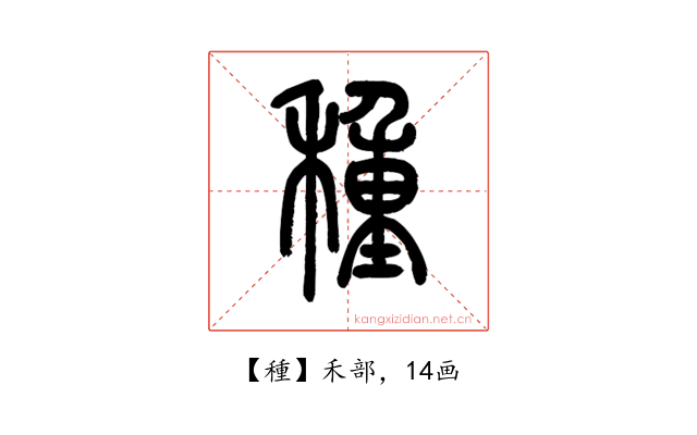 種