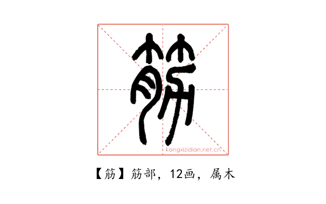 筋
