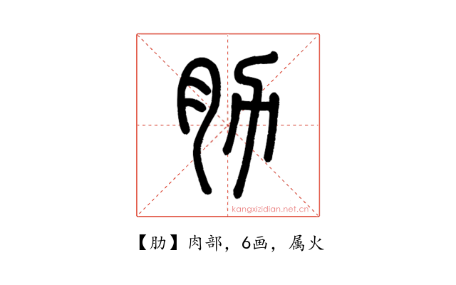 肋