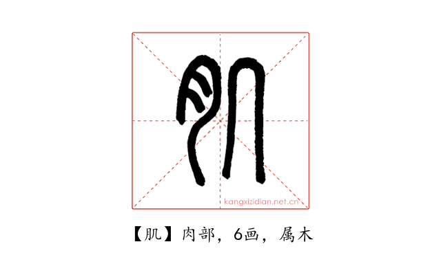 肌