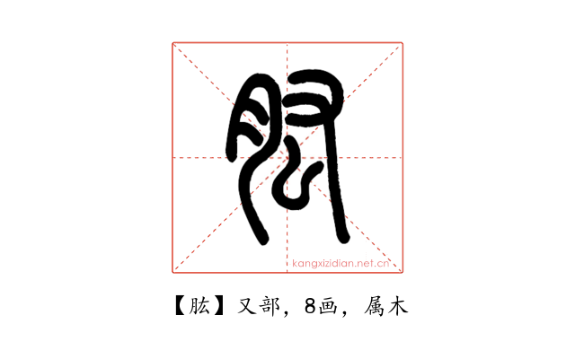 肱