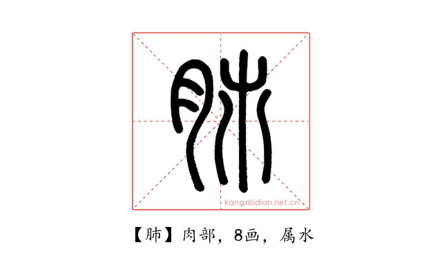 肺