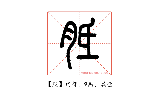 胝