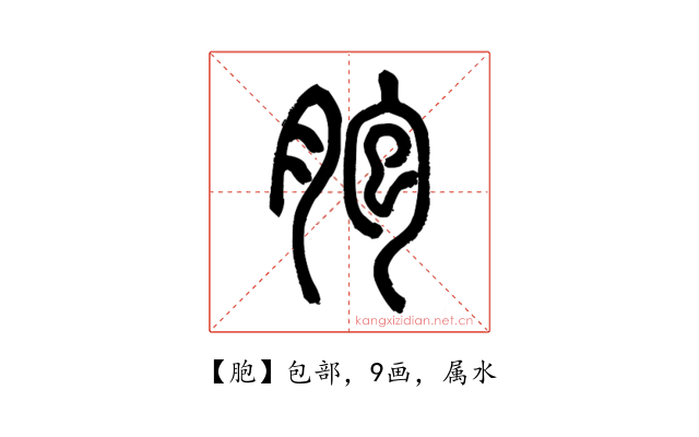 胞