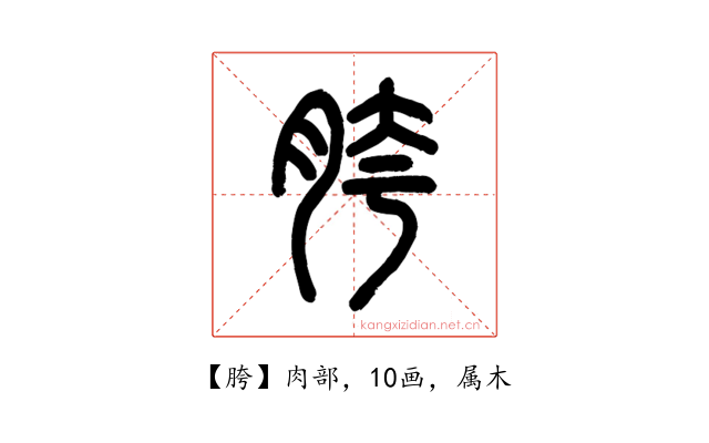 胯