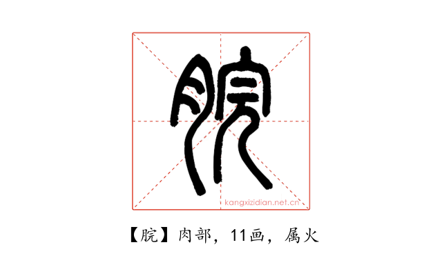 脘