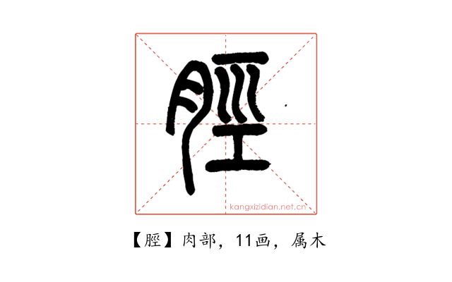 脛