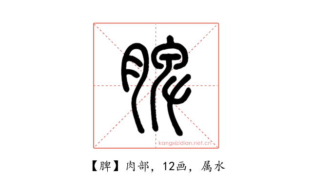 脾
