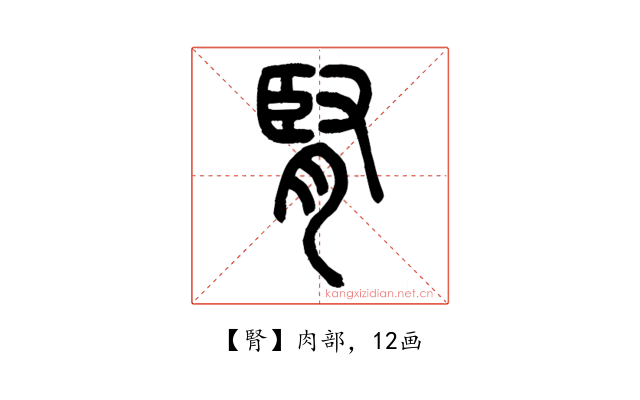 腎