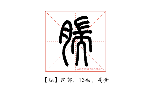 腨